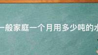 麻烦问下 两个月多点用水10吨正常么？