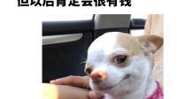 爱情，我是一个小学生