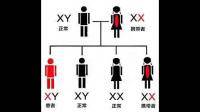 孩子肌营养不良和父母的基因有没有