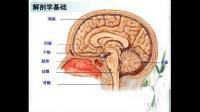 共济失调慢慢就会说话含糊不清，说快