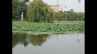 他们对我是什么态度
