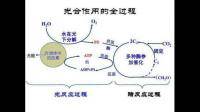 然而，随着医学的进步和科学家们的努