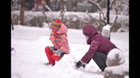 sca在下雪后该不该出去活动？